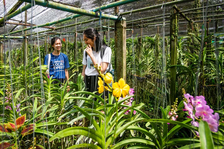 Bangkok Floating Market & Boat Ride to an Orchid Farm - Why Khlong Lat Mayom Feels More Like Real Bangkok