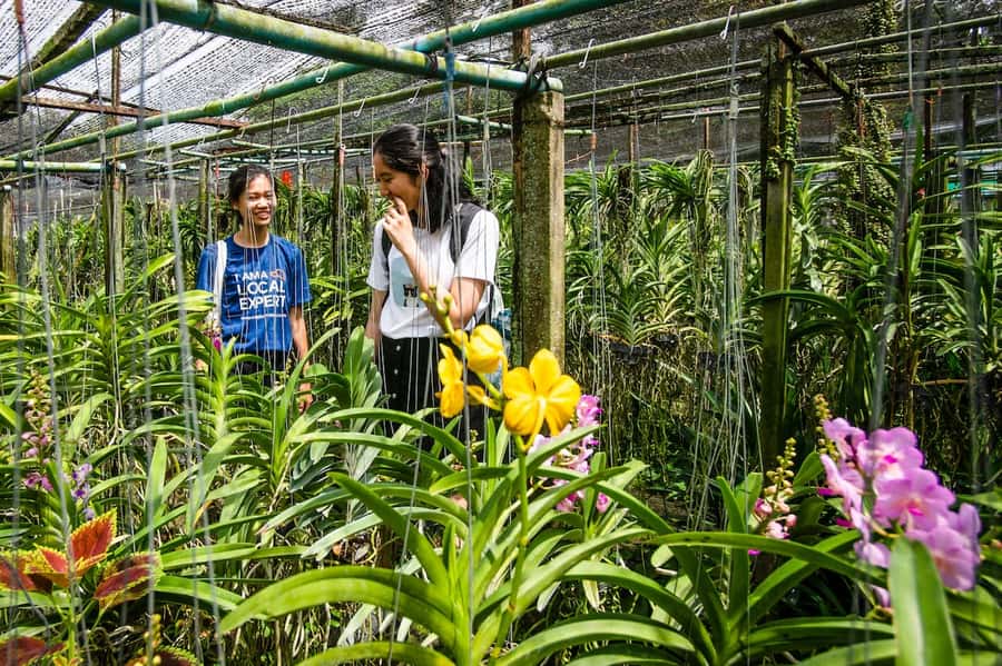 Bangkok Floating Market & Boat Ride to an Orchid Farm - Your Best Fit: Who This Tour Suits
