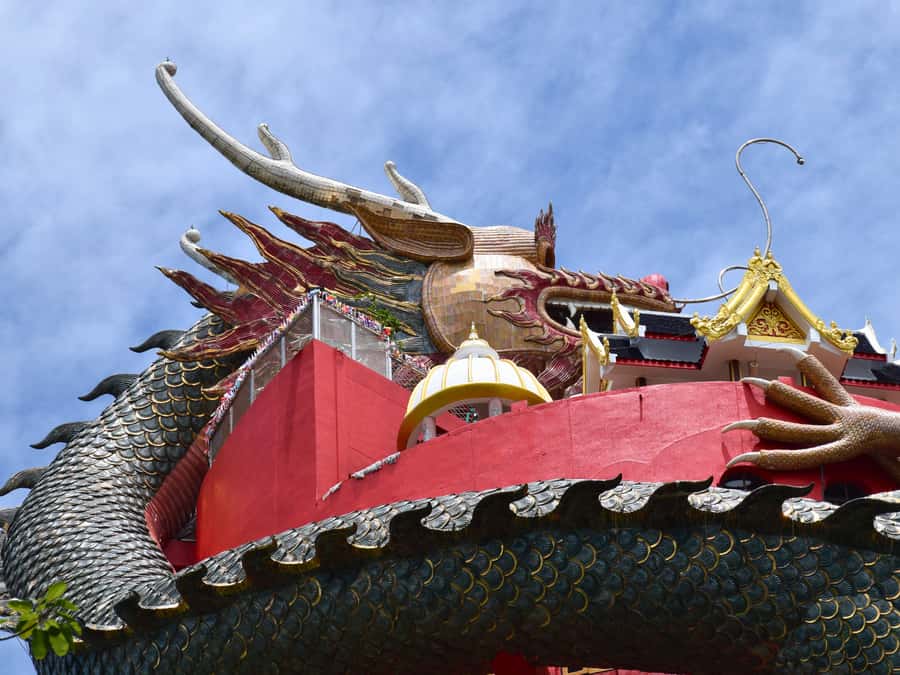 Bangkok: Floating Market, Dragon Temple, Na Satta Museum - Wat Samphran (Dragon Temple): the pink pagoda and the giant dragon