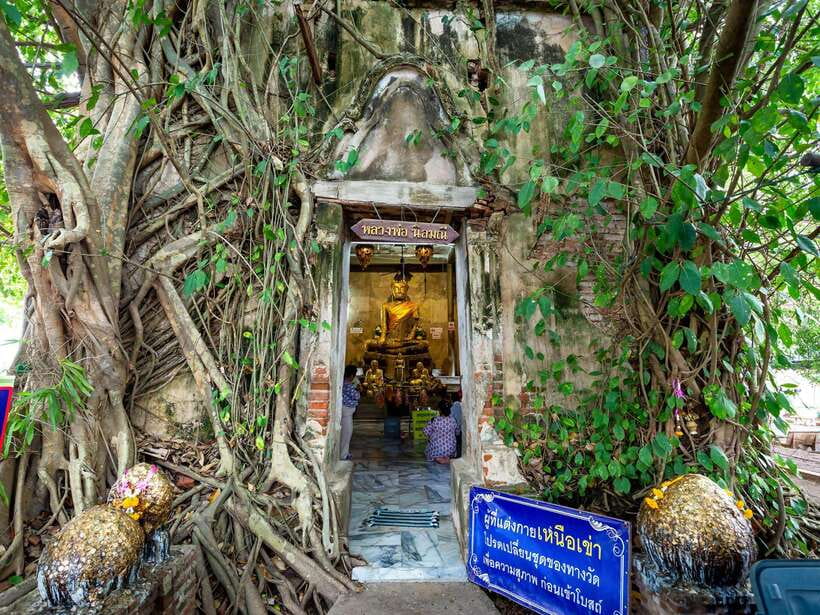 Bangkok: Maeklong Railway & Amphawa Floating Market Day Trip - Who should book, and who should skip it