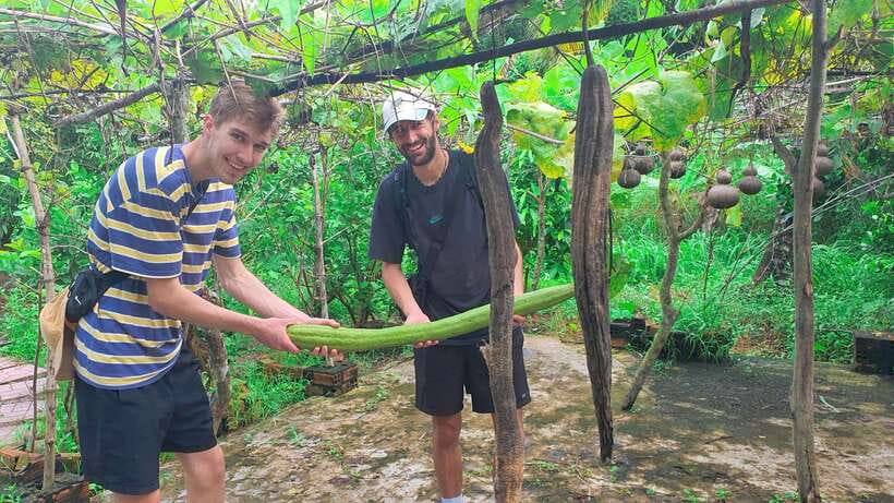 Can Tho: Authentic Mekong Delta – Real Local Life Tour. - Village Walk and Fruit Gardens: Land Life That Connects Back to the River