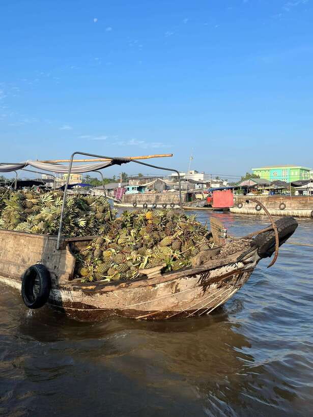 Can Tho: Cai Rang Floating Market and Canals - Sunrise First: Why This Morning Start Changes Everything