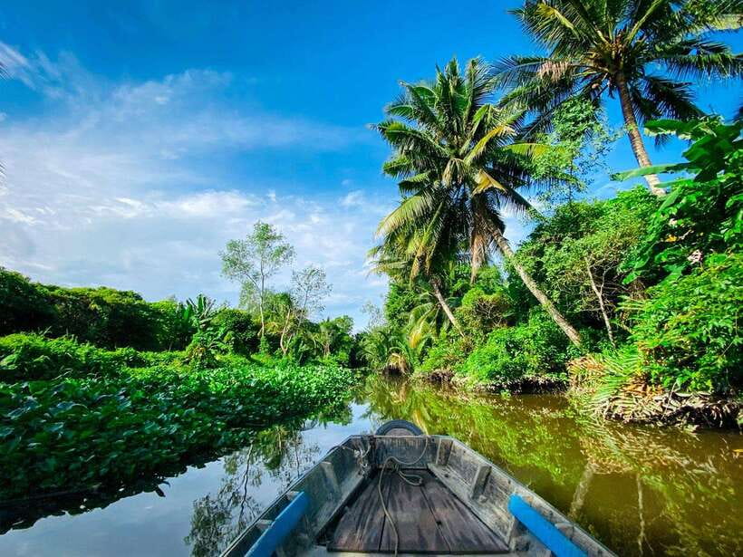 Can Tho: Explore Mekong, Floating Market, Cacao & Local Life - Organic cacao farm with Mr. Cacao: what “tasting” really teaches you