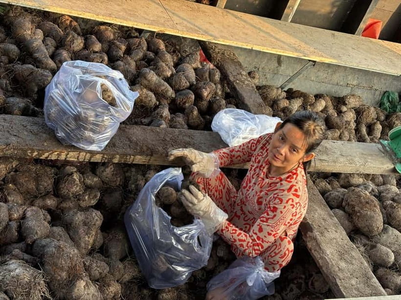 Can Tho: Floating Market, Cacao & Canals with French Guide - Fruit on the River and the Calm Canal Shift