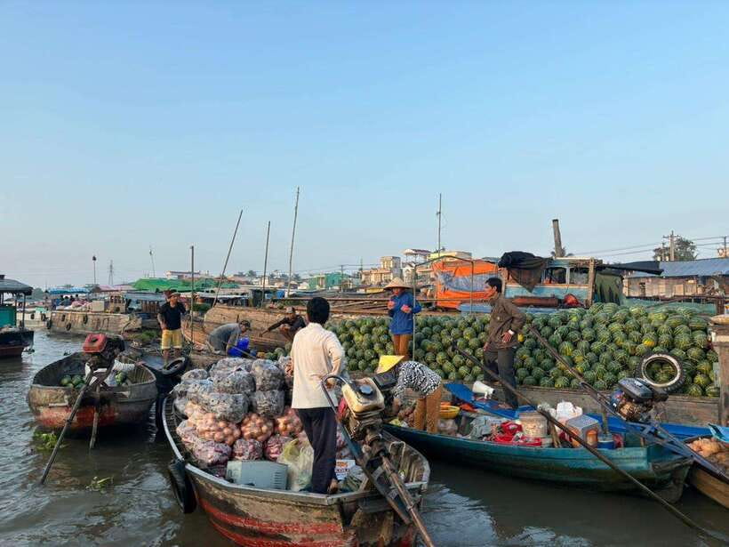 Can Tho: Floating Market, Canal, Cacao Farm & Mekong' Life - Water Coconut Canals, Mangroves, and Village Side Paths