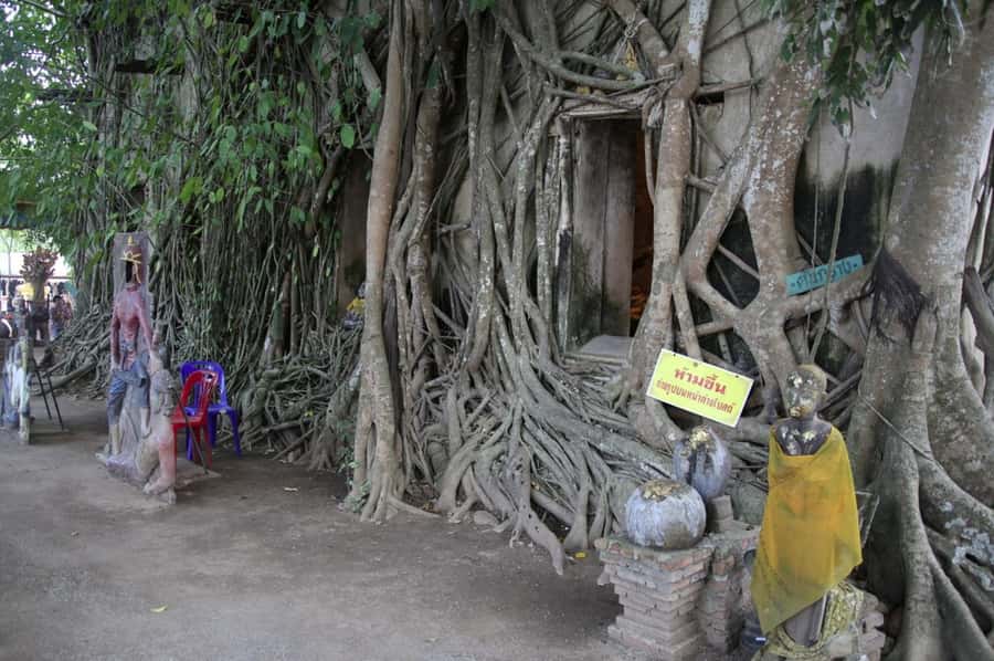 Floating Market Full-Day Bicycle Tour from Bangkok - Temple time: Wat Bang Kung’s banyan-root chapel and Wat Bang Kae Noi’s carvings