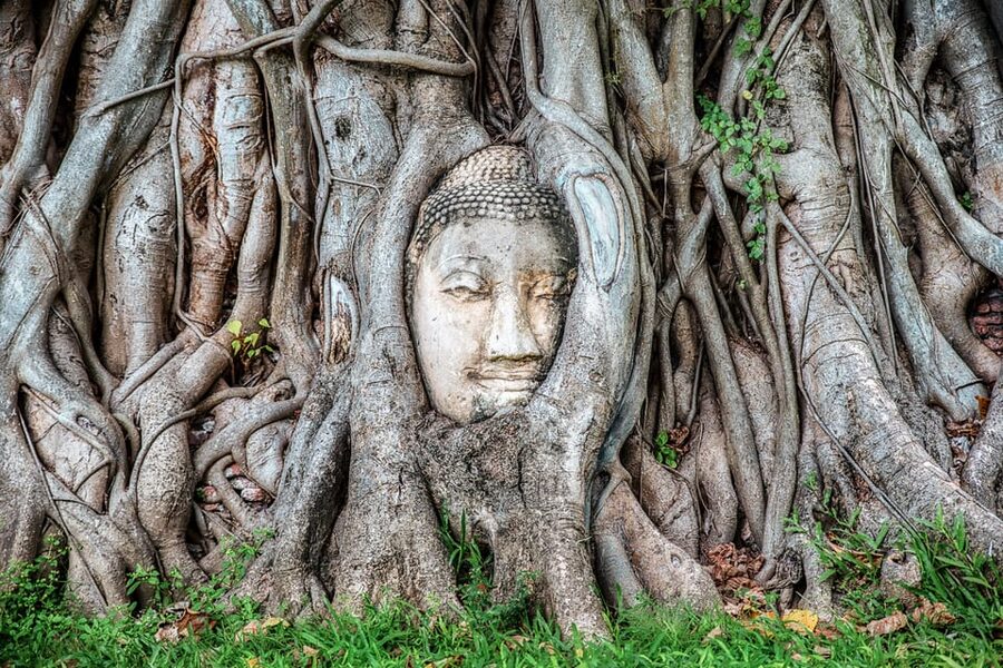 From Bangkok: Ayutthaya & Ayothaya Floating Market Day Trip - Ayothaya Floating Market: a staged market you can still enjoy