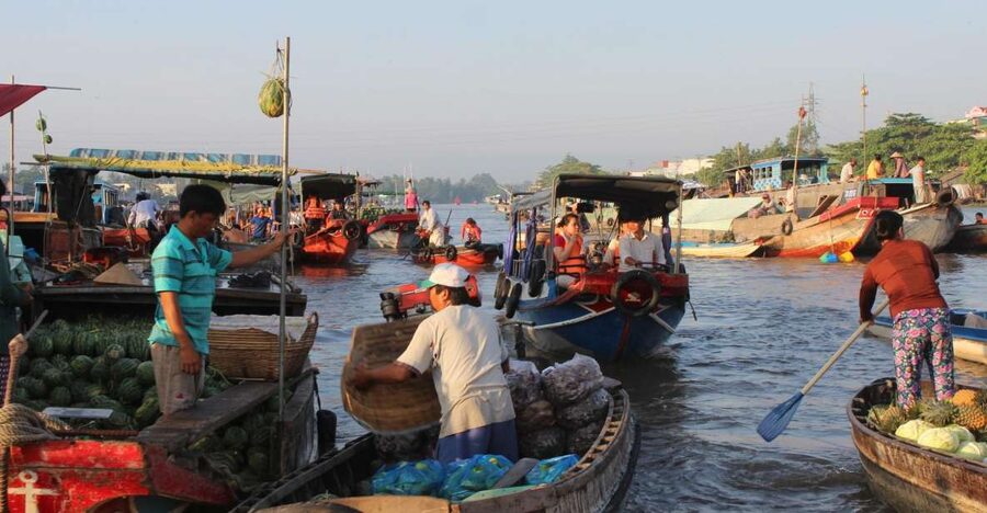 From Saigon: Private Tour to Cai Rang Floating Market 1 Day - Key highlights you’ll care about