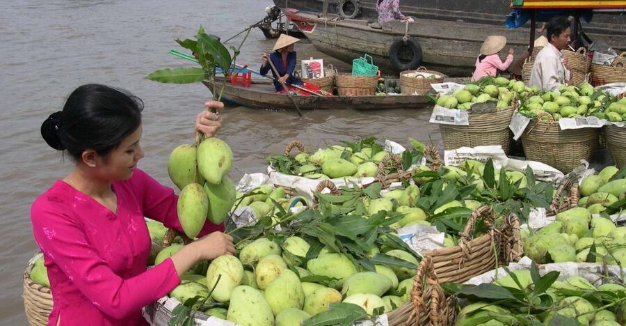 HCMC: Cai Rang Floating Market & Mekong Delta Private Tour - Cai Rang Floating Market at dawn: where the boats feel like a market
