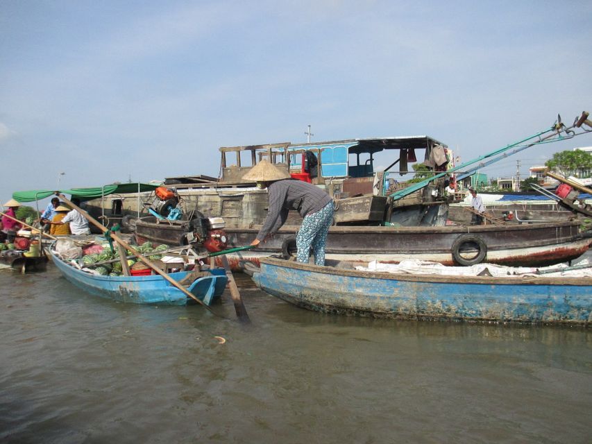 HCMC: Cai Rang Floating Market & Mekong Delta Private Tour - Bee farm stop, honey tea, fruit, and traditional music