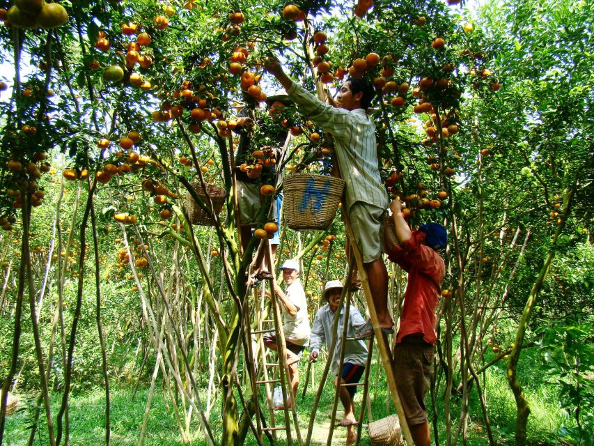 HCMC: Cai Rang Floating Market & Mekong Delta Private Tour - Private guide energy: English explanations and flexible pacing