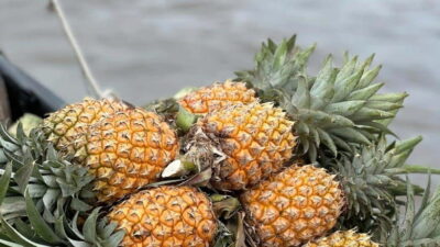 Ho Chi Minh: Authentic boat trip - Cai Rang Floating Market - Getting from Ho Chi Minh City: bus vs private car