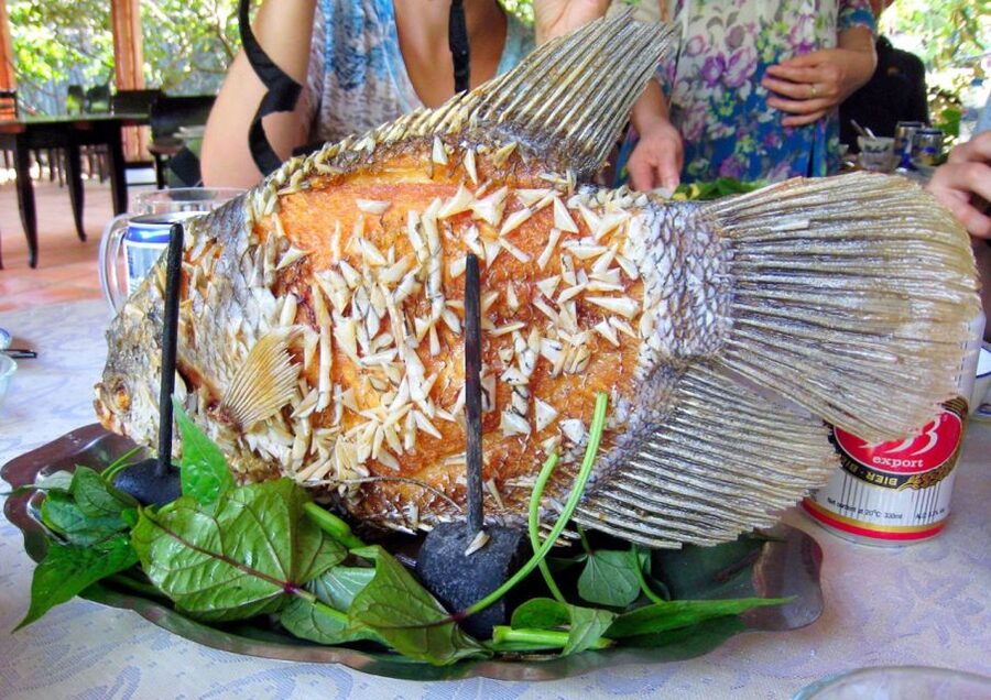 Ho Chi Minh City: 2-Day Mekong Delta & Floating Market Tour - Who this Mekong Delta tour is best for