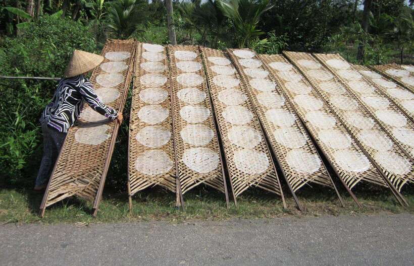 Ho Chi Minh City: Cai Rang Floating Market in Can Tho Tour - Key Highlights at a Glance