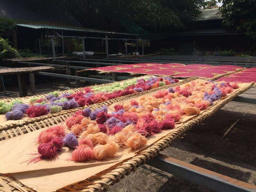 Ho Chi Minh City: Cai Rang Floating Market in Can Tho Tour - Son Islet on the Hau River: koi fish, fruit picking, and the monkey bridge