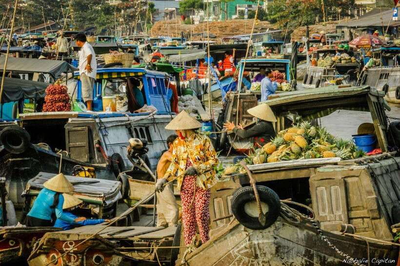 Ho Chi Minh: Group Cai Rang Floating Market 1 Day Tour - Fruit on the river and the Son islet transition