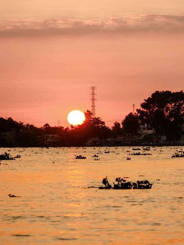 Private Half Day Tour - Cái Răng Floating Market - Key Highlights Worth Noticing